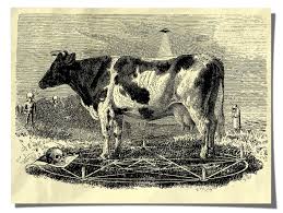 UNSOLVED MYSTERIES: CATTLE MUTILATIONS, UFO'S & BLACK OPS