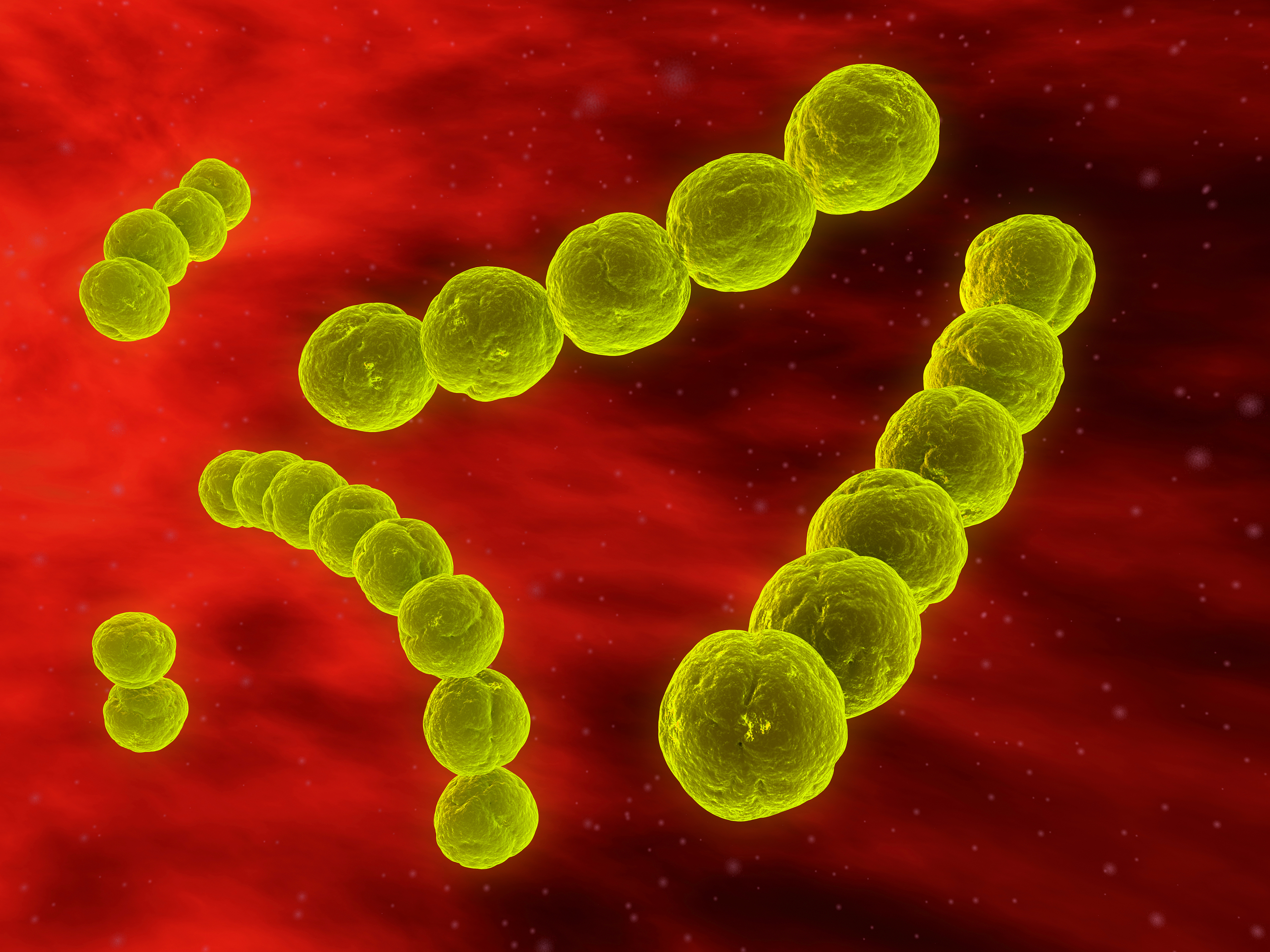 #5 - Products I Use to Protect Myself and Passengers while Commuting.