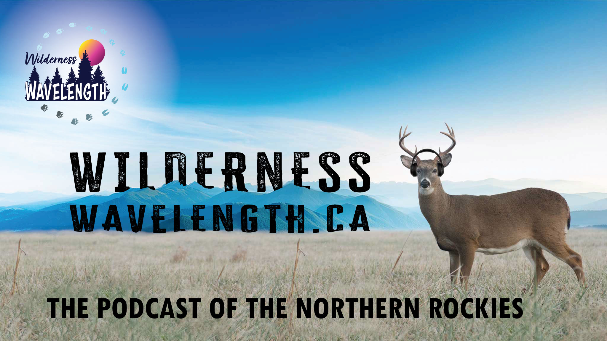 Wilderness Wavelength