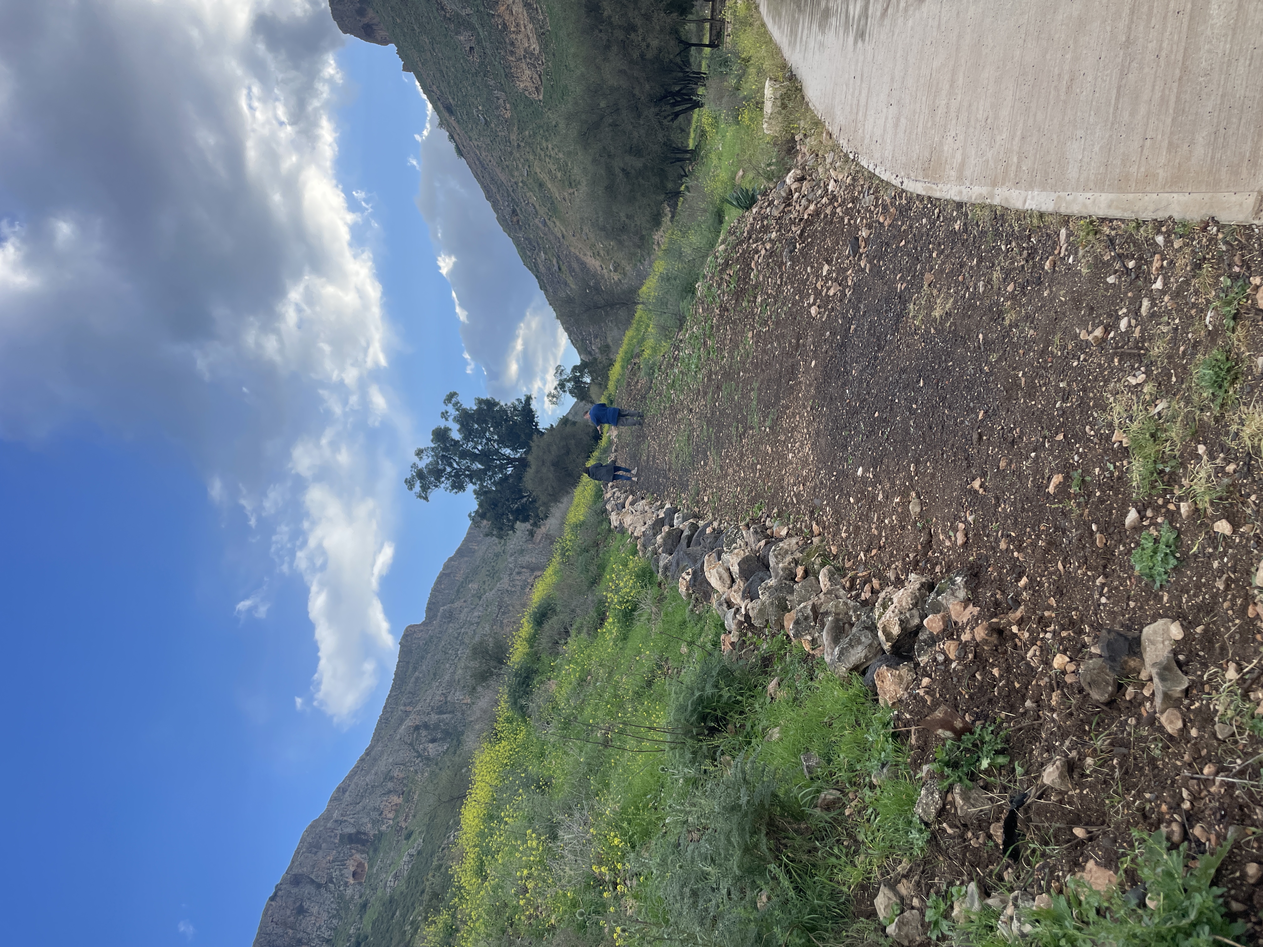 email capture banner