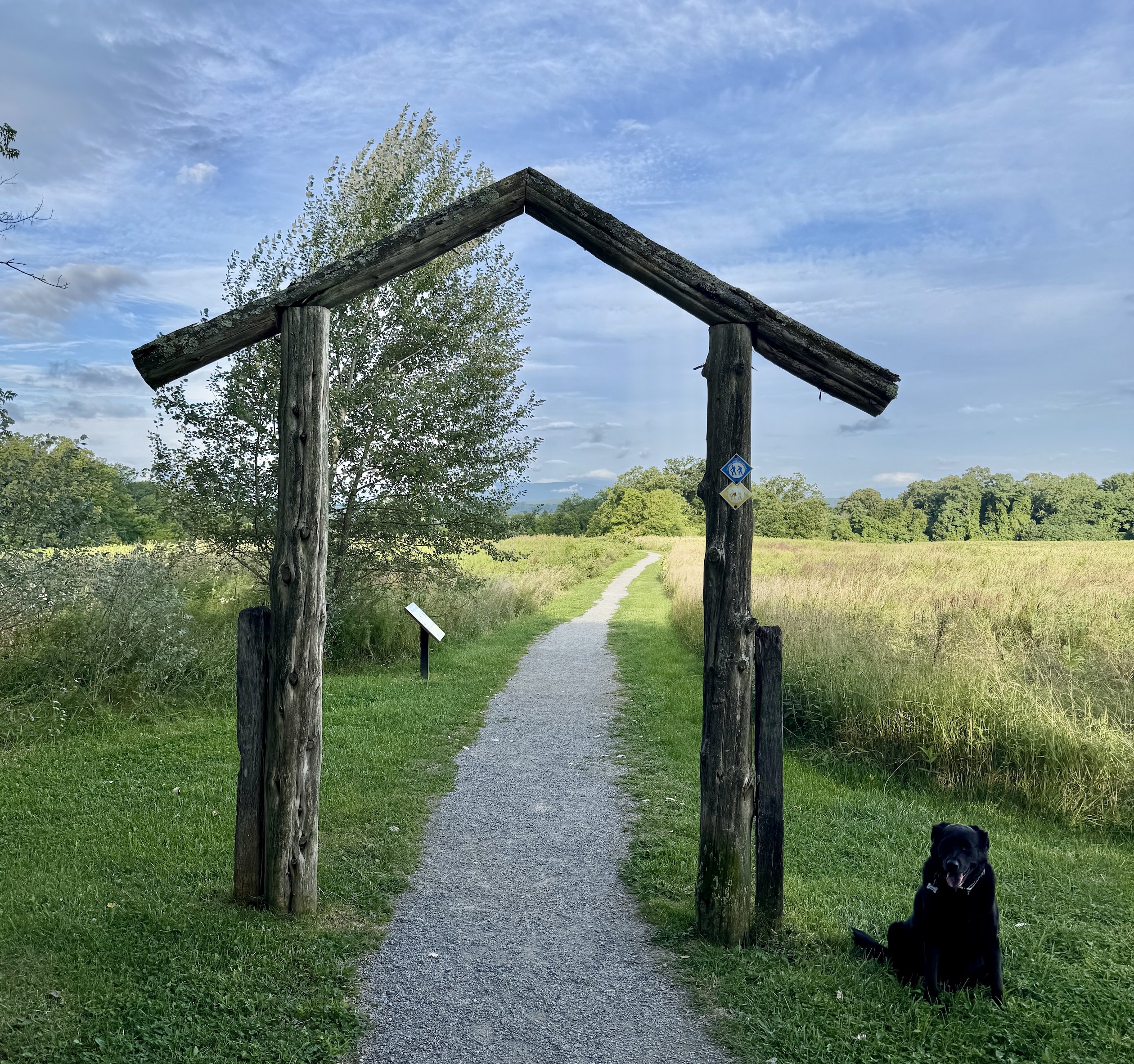 Cidiot’s Favorite Dog Walks in the Hudson Valley