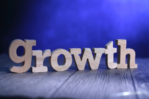Founder-Turned-CEO Coach Reveals the 4 Pillars Every Entrepreneur Misses for Explosive Business Growth Founder-Turned-CEO Coach Reveals the 4 Pillars Every Entrepreneur Misses for Explosive Business Growth