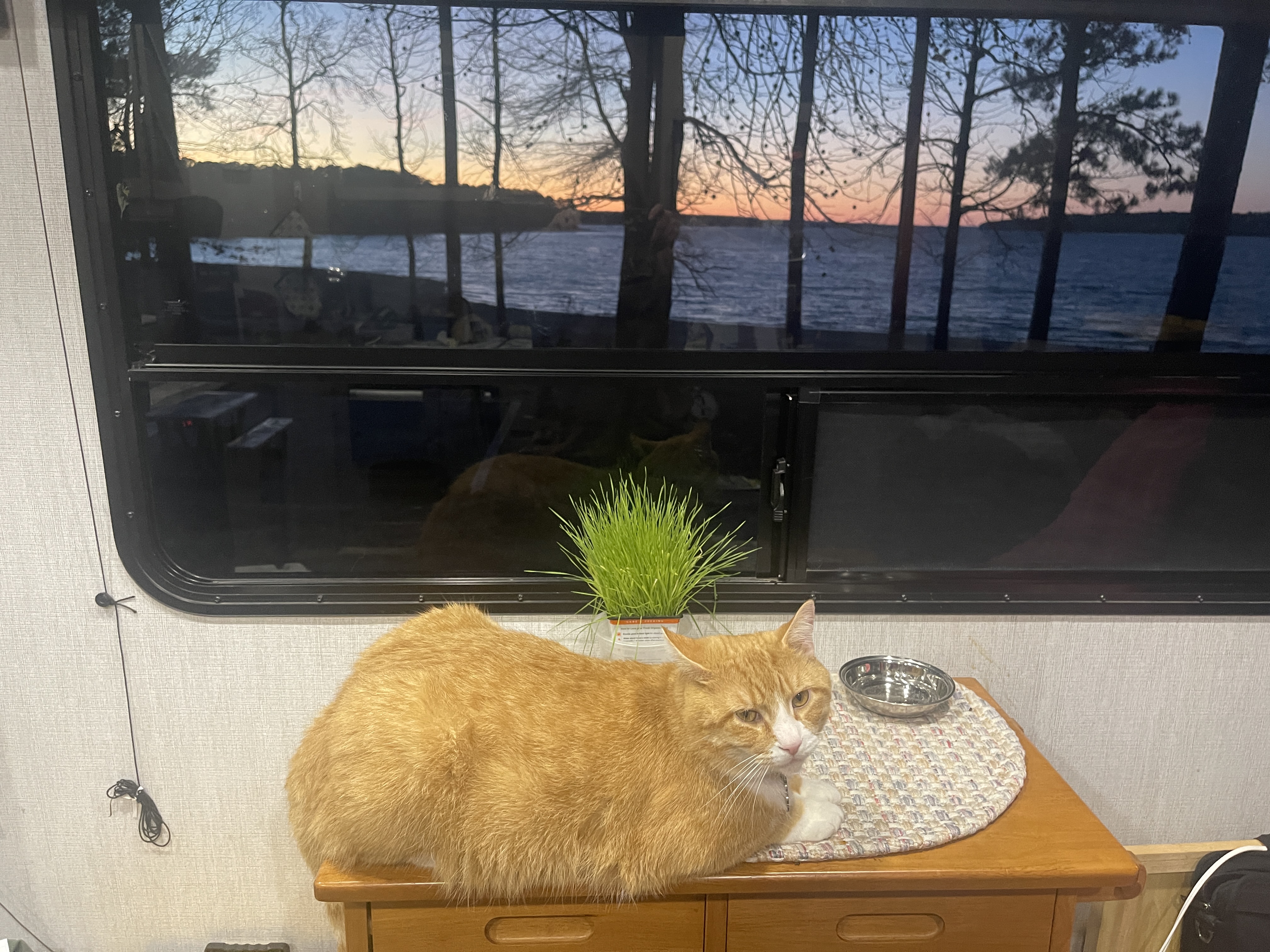 Janie Green Profile Photo