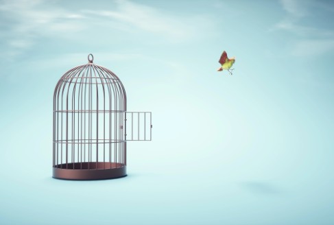 Unplug. Unlearn. Unchain. AI Entrepreneur Joshua Hale’s Proven Path To Freedom From Systems And Stress