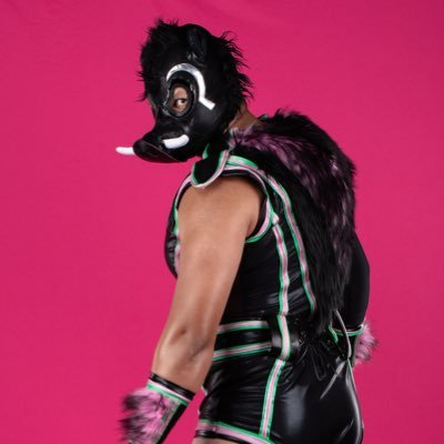 The Boar Profile Photo