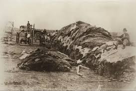 THE BUFFALO HUNTERS and THE PAYROLL    FORT LARAMIE