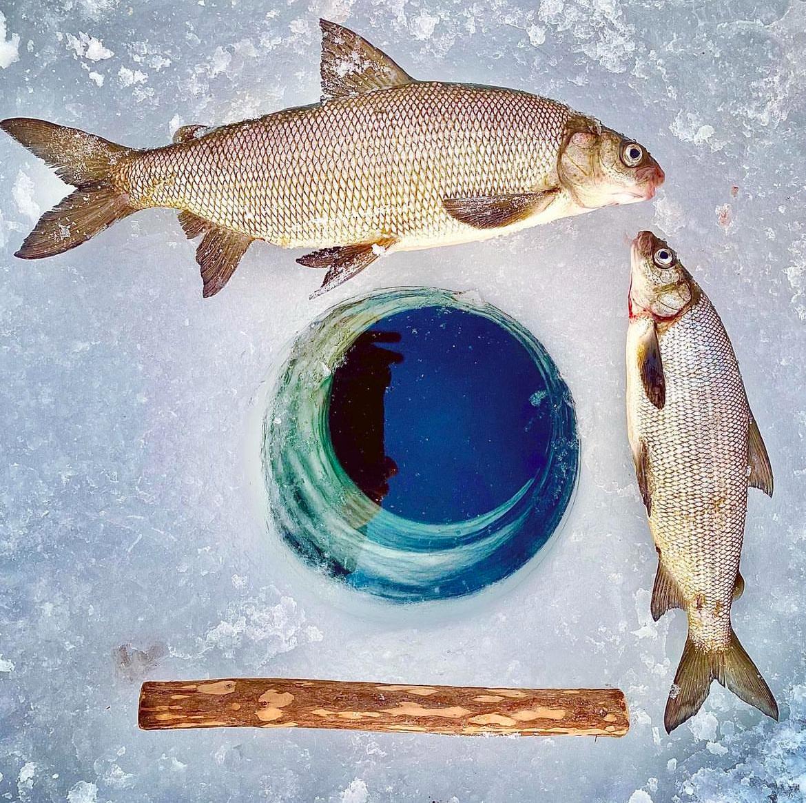 Ep 37- Top Secret Ice Fishing Tips (Feat. Scott Sunderwald)