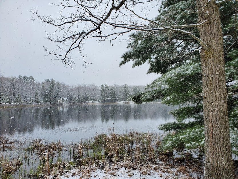 Snowbirds, Split Lives, and the Meaning of Michigan My Home