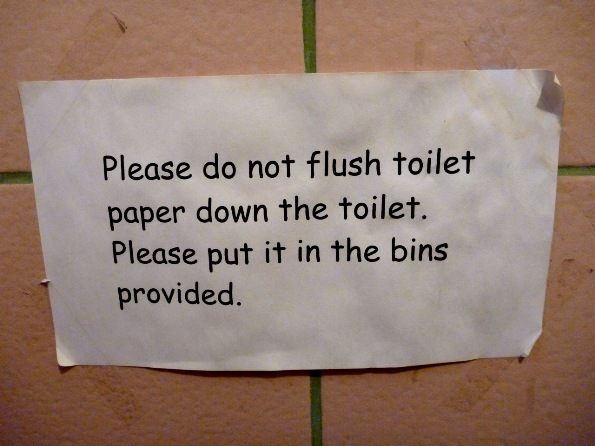 Why You Can’t Flush Toilet Paper in Mérida | This Might Be a Bad Idea