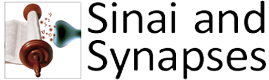 Sinai & Synapses