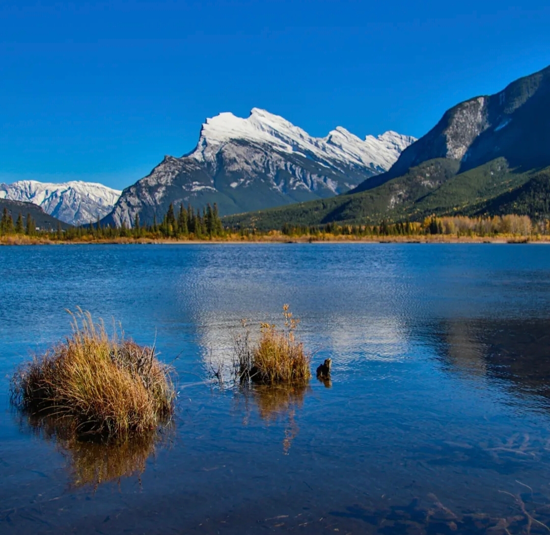 Ep 80- Let Nature Speak (Feat. Kevin Gedling)