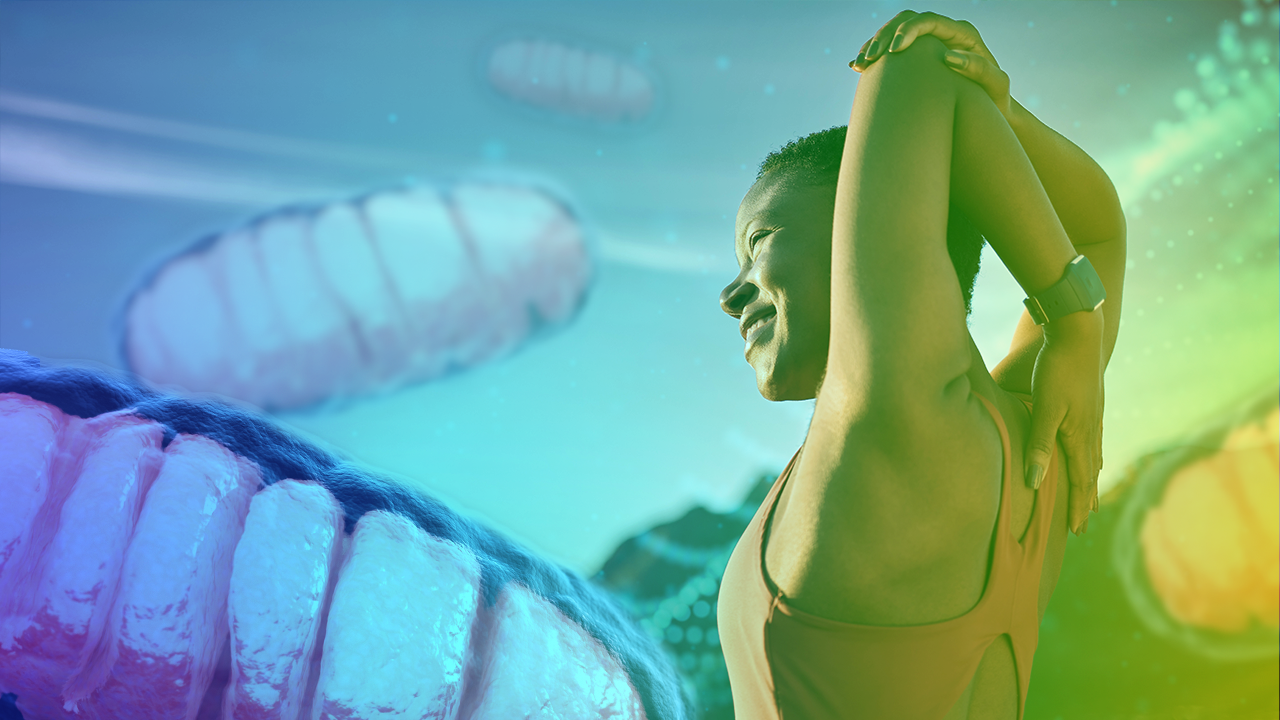 Mitochondria: The Core of Exercise, Longevity, Heart Health, and Cancer Prevention Mitochondria: The Core of Exercise, Longevity, Heart Health, and Cancer Prevention