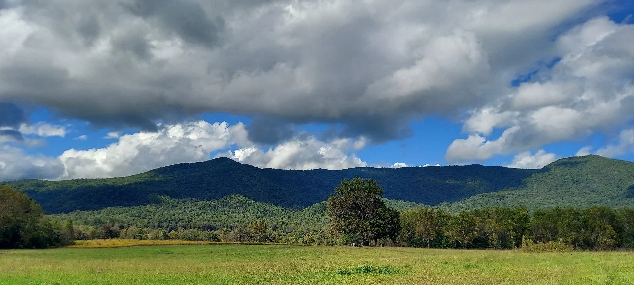 Ep 78: You Can't Beat the Company