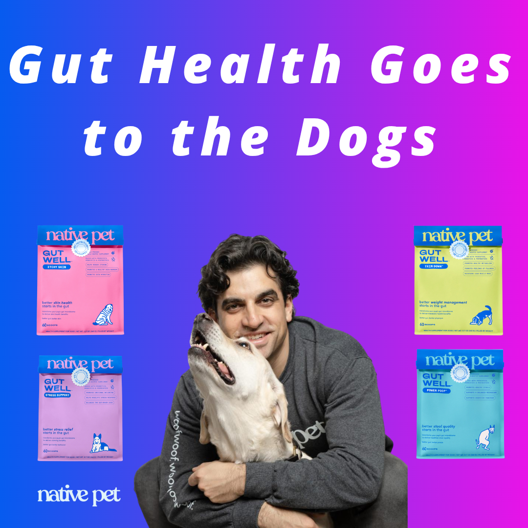 Native Pet - Gut Health Goes to the Dogs Native Pet - Gut Health Goes to the Dogs