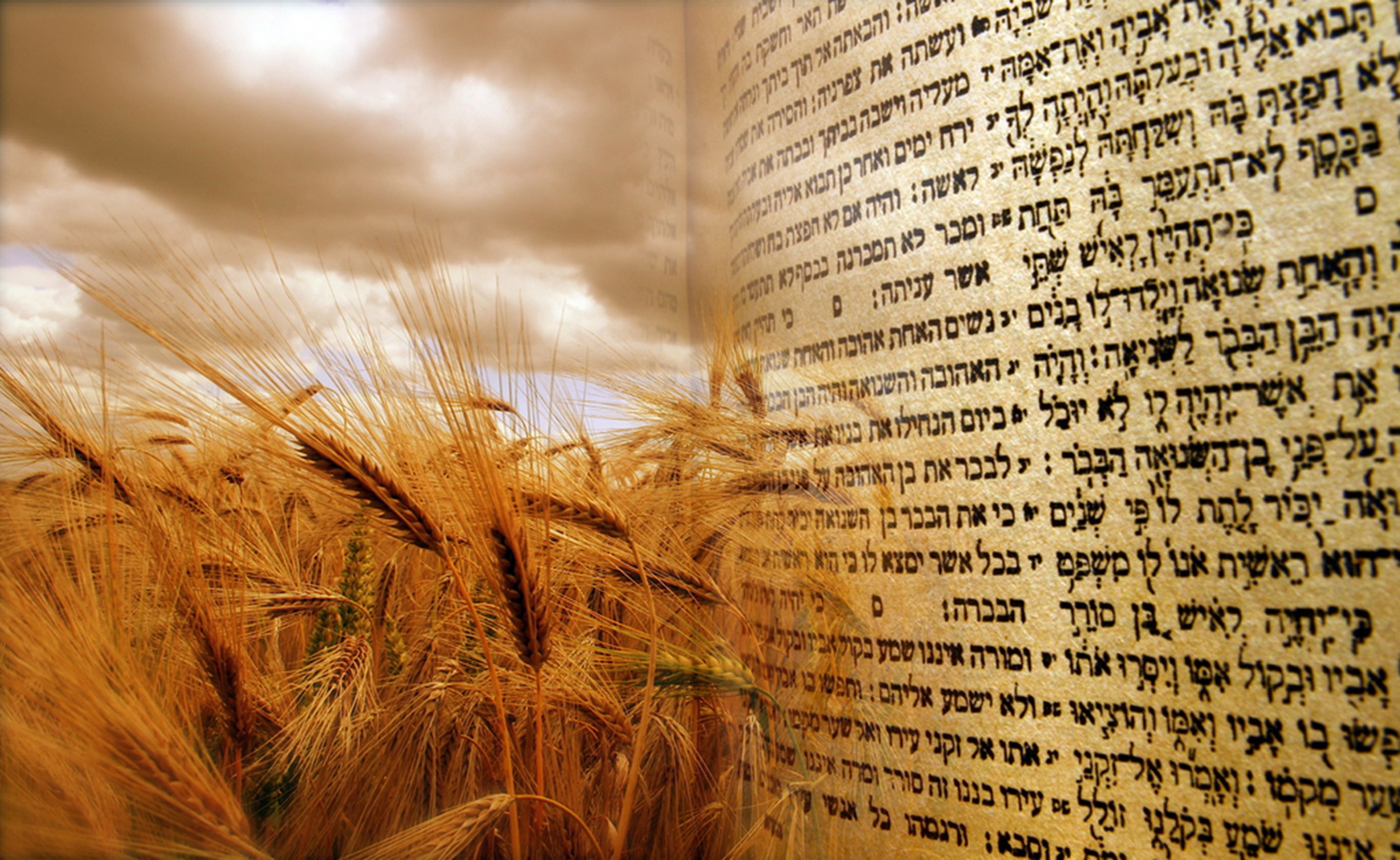THE BAER TRUTH: Bible study subjects and messages by Daniel Baer
