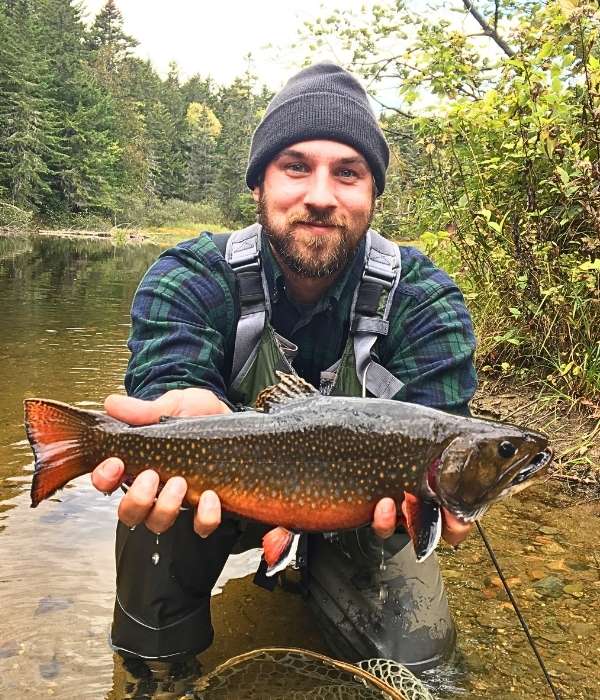 Brook Trout Heaven or Hype? Maine’s Rapid, Kennebago, and Magalloway Rivers