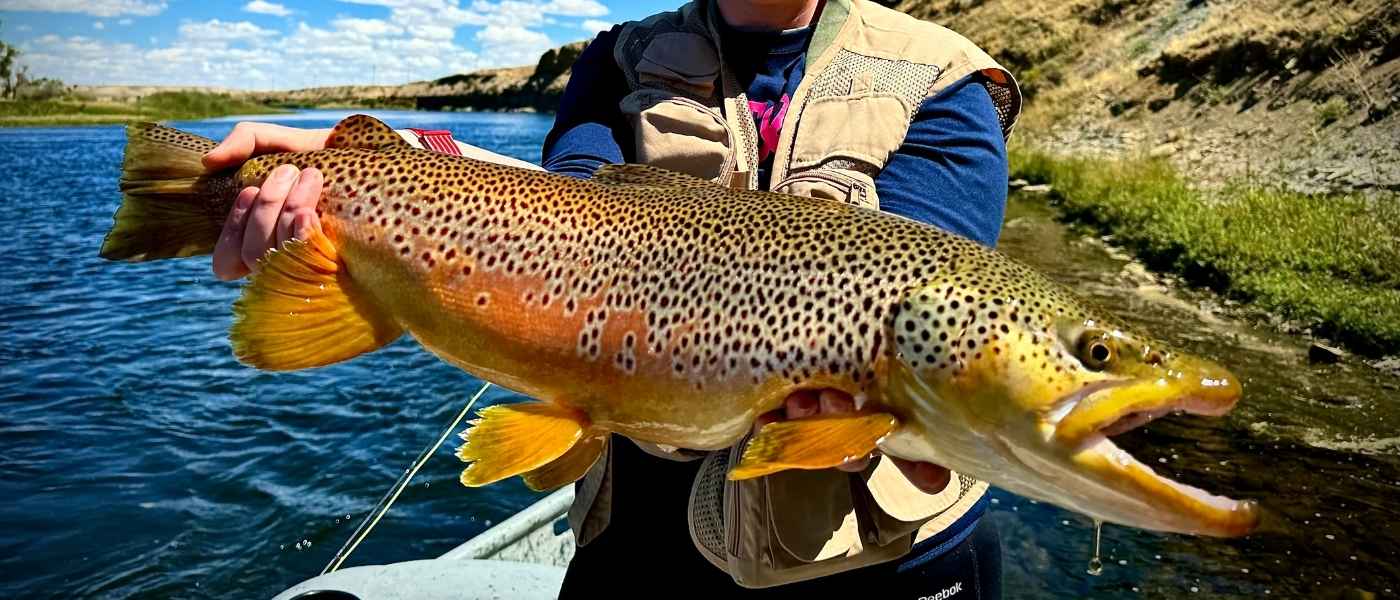 Wyoming's Last Big Secret: Fly Fishing the Green River Below Fontenelle Dam