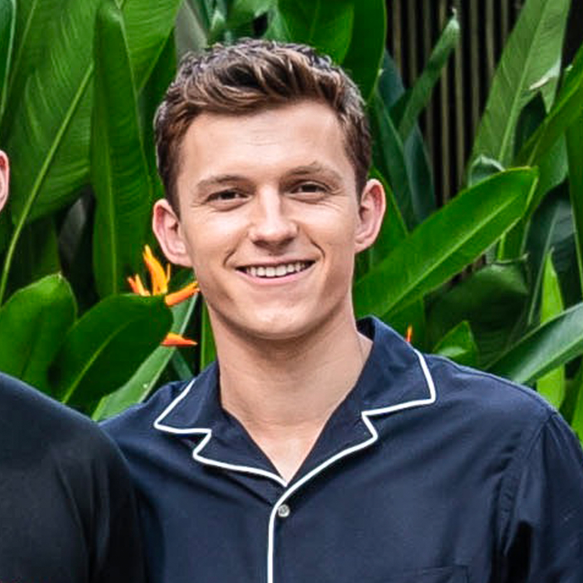 Tom Holland Profile Photo