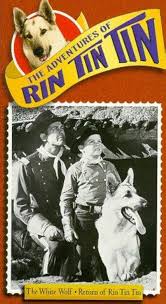 RIN-TIN-TIN AND THE LEGEND OF THE WHITE BUFFALO