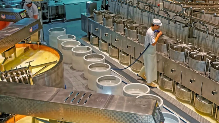 The Problem with Cheese: How Pfizer Hijacked Cheese Without Asking