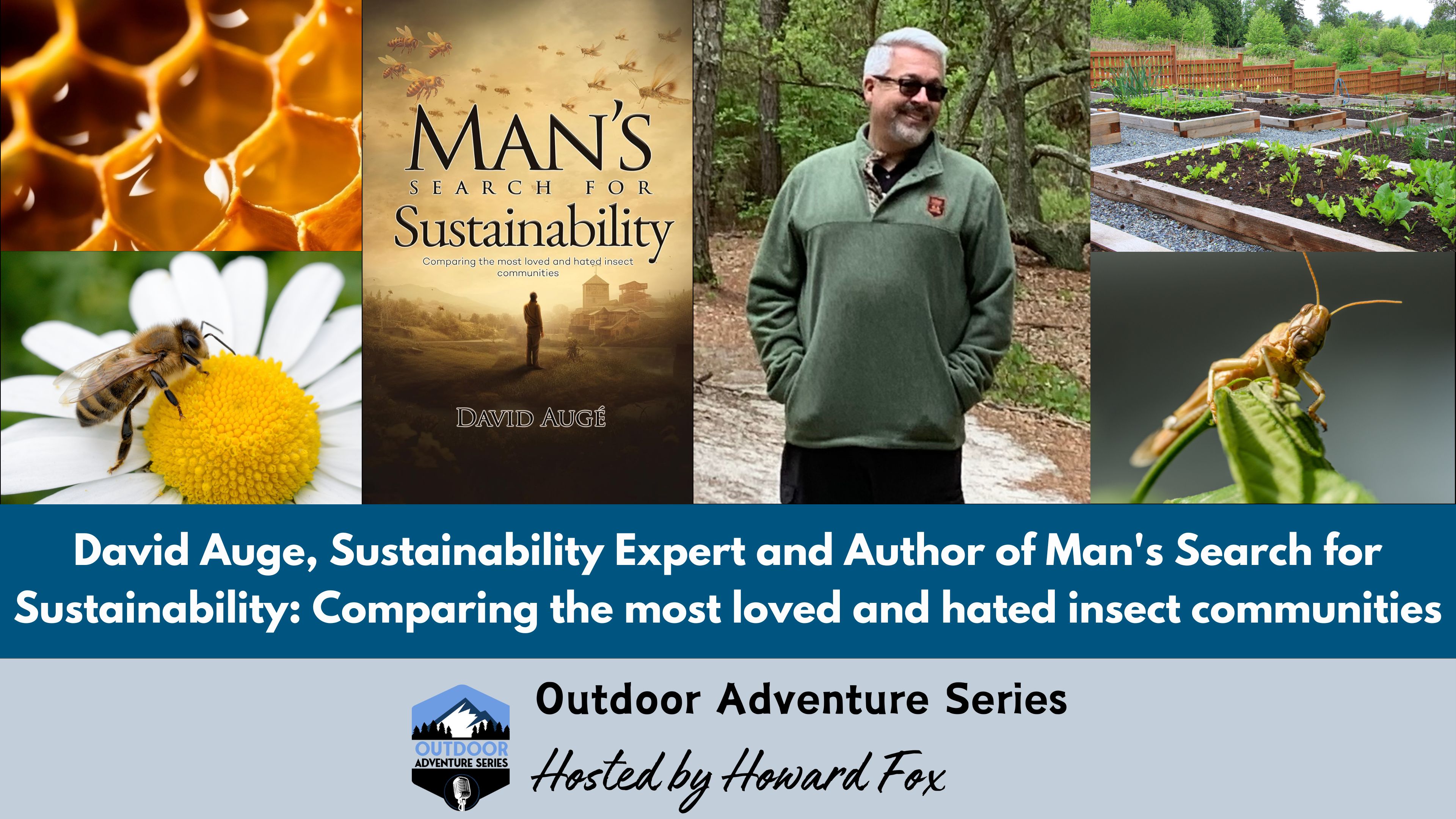 Man’s Search for Sustainability: What Bees and Locusts Teach Us About a Sustainable Future