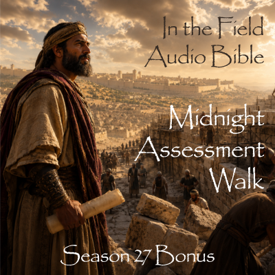 Midnight Assessment Walk: Facing Damage with Wisdom