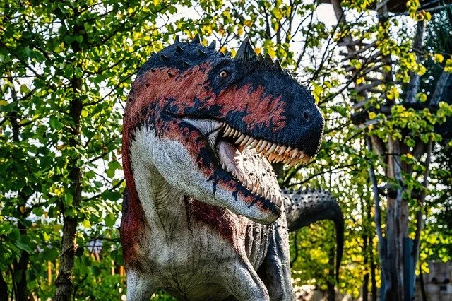 Ep 10: Spare No Expense