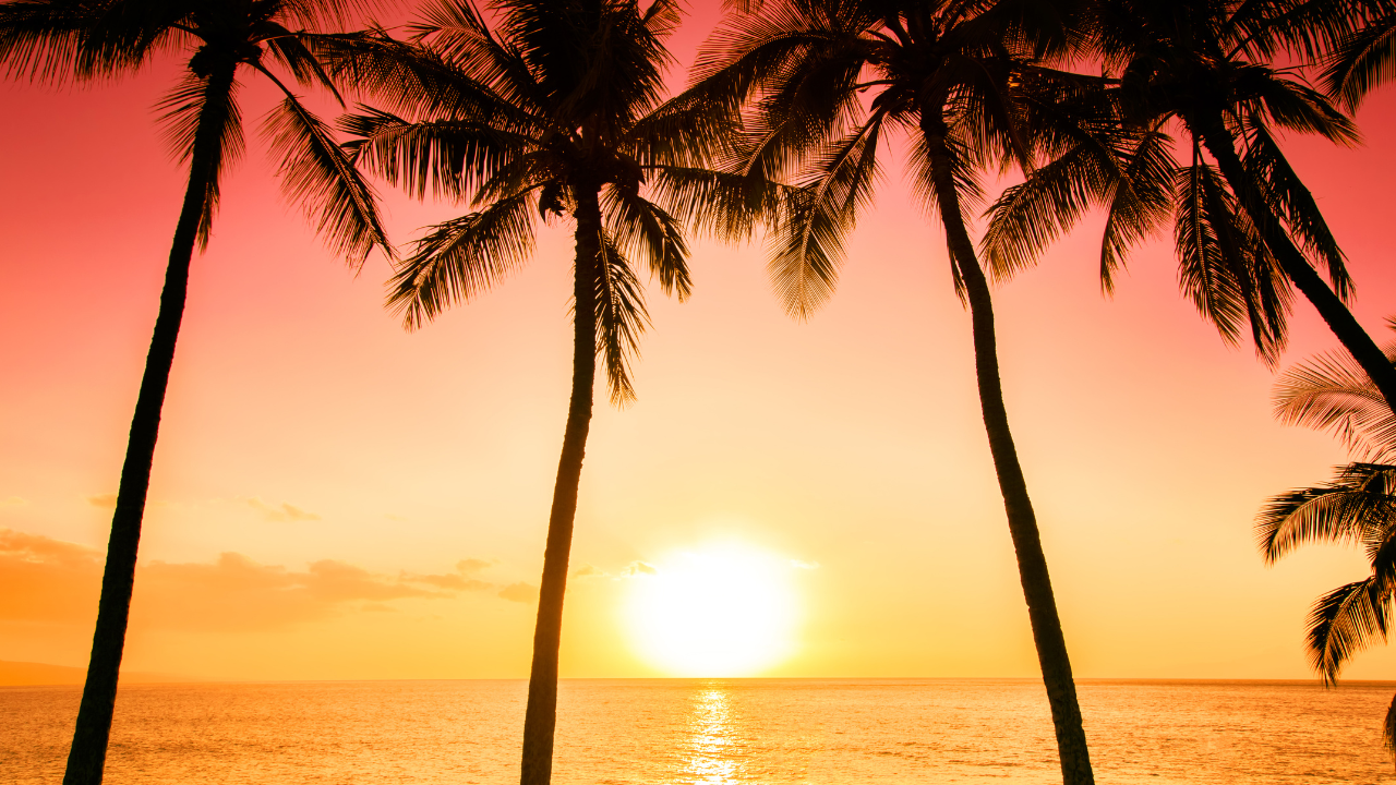 Tropic Wonder (Part 2): The Journey Begins – Travel Story from Winter to Warm Sun