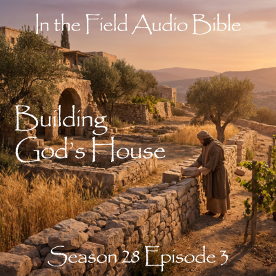 Building God’s House: Foundations of Spiritual Growth