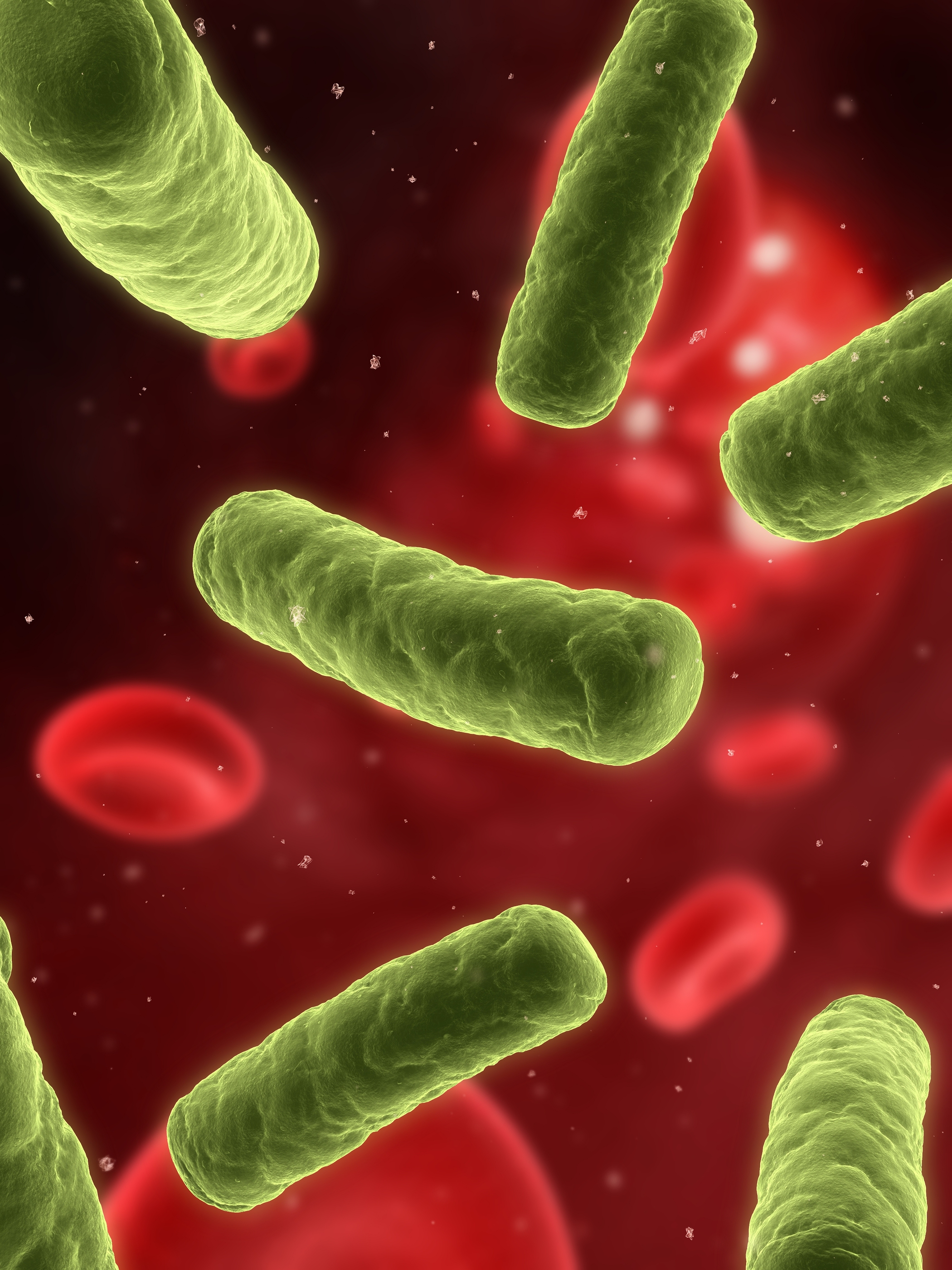 #4 - Disinfecting Your Car’s Interior Safely.