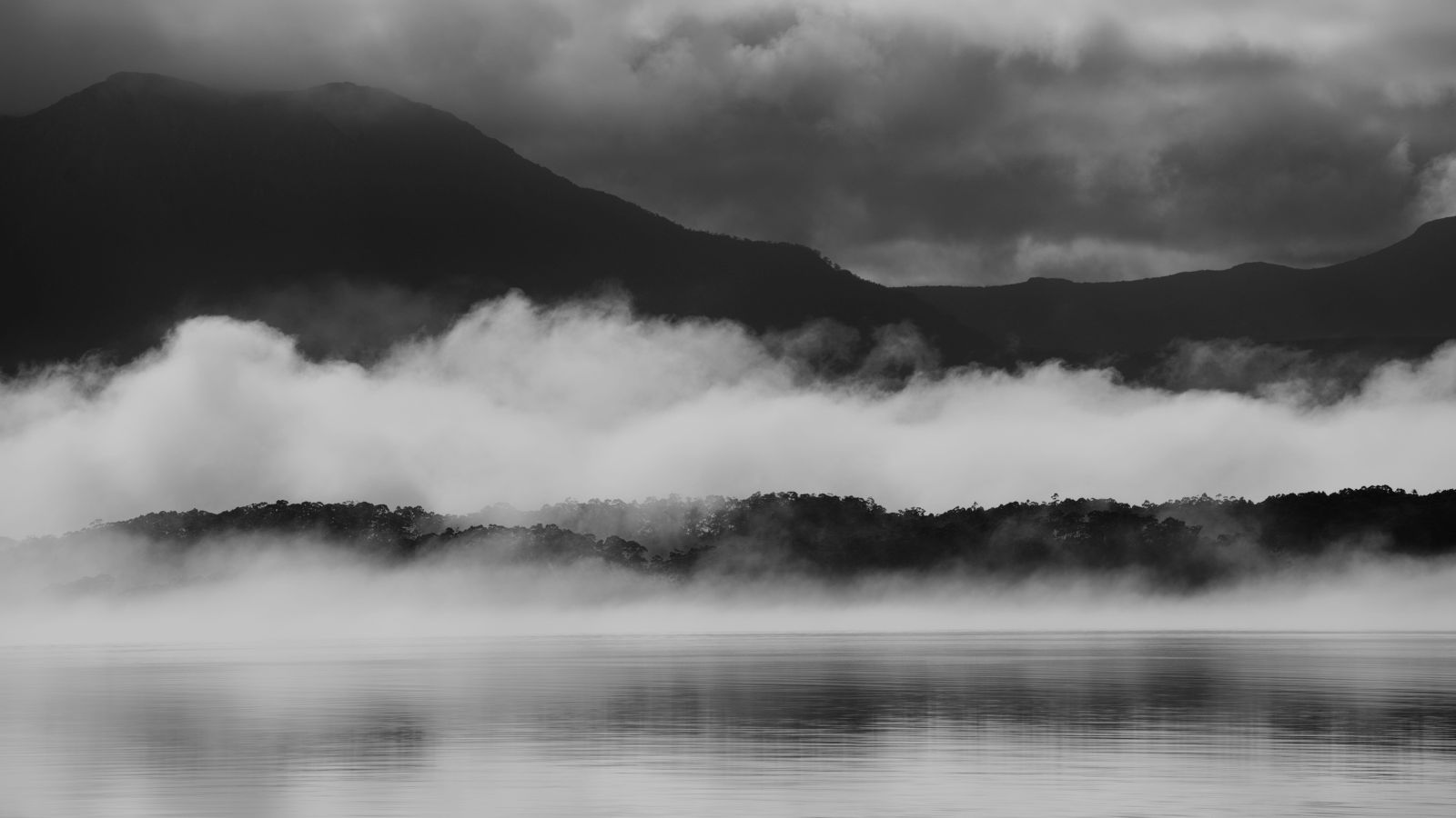 Lens and Life with Pete George