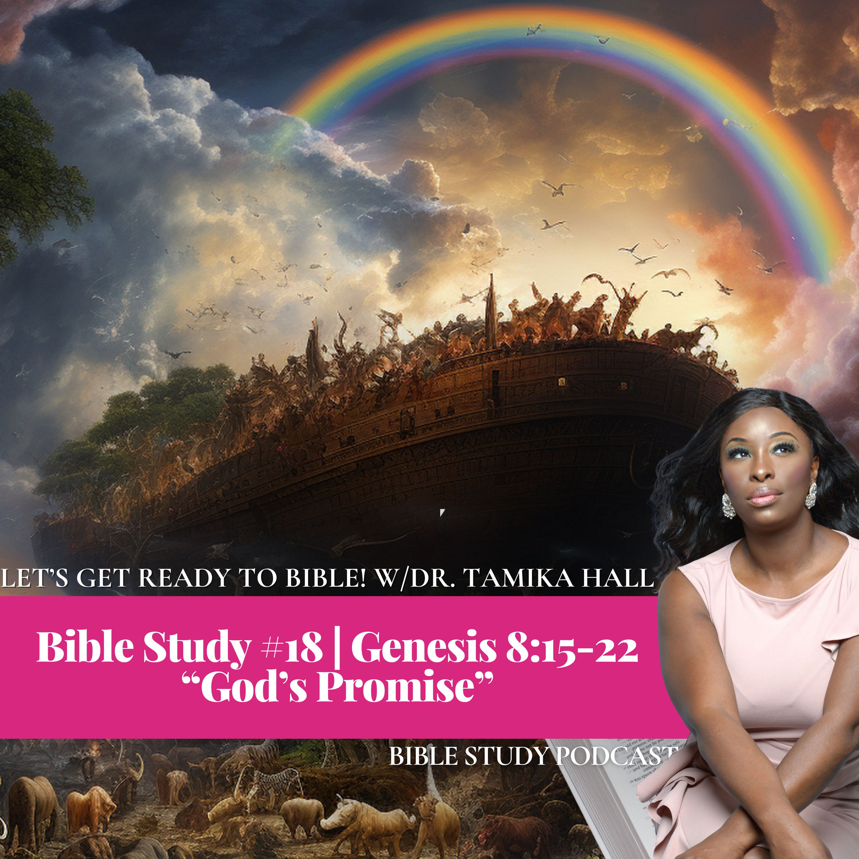 Bible Study #18 | Genesis 8:15-22 | “God’s Promise”