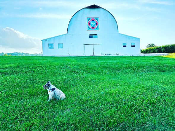 Ramble at the Randall 2025: Kentucky’s Best Americana Barn Show Ramble at the Randall 2025: Kentucky’s Best Americana Barn Show