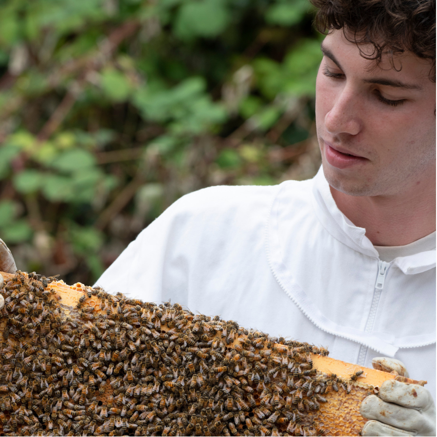 Mateo Kaiser Profile Photo