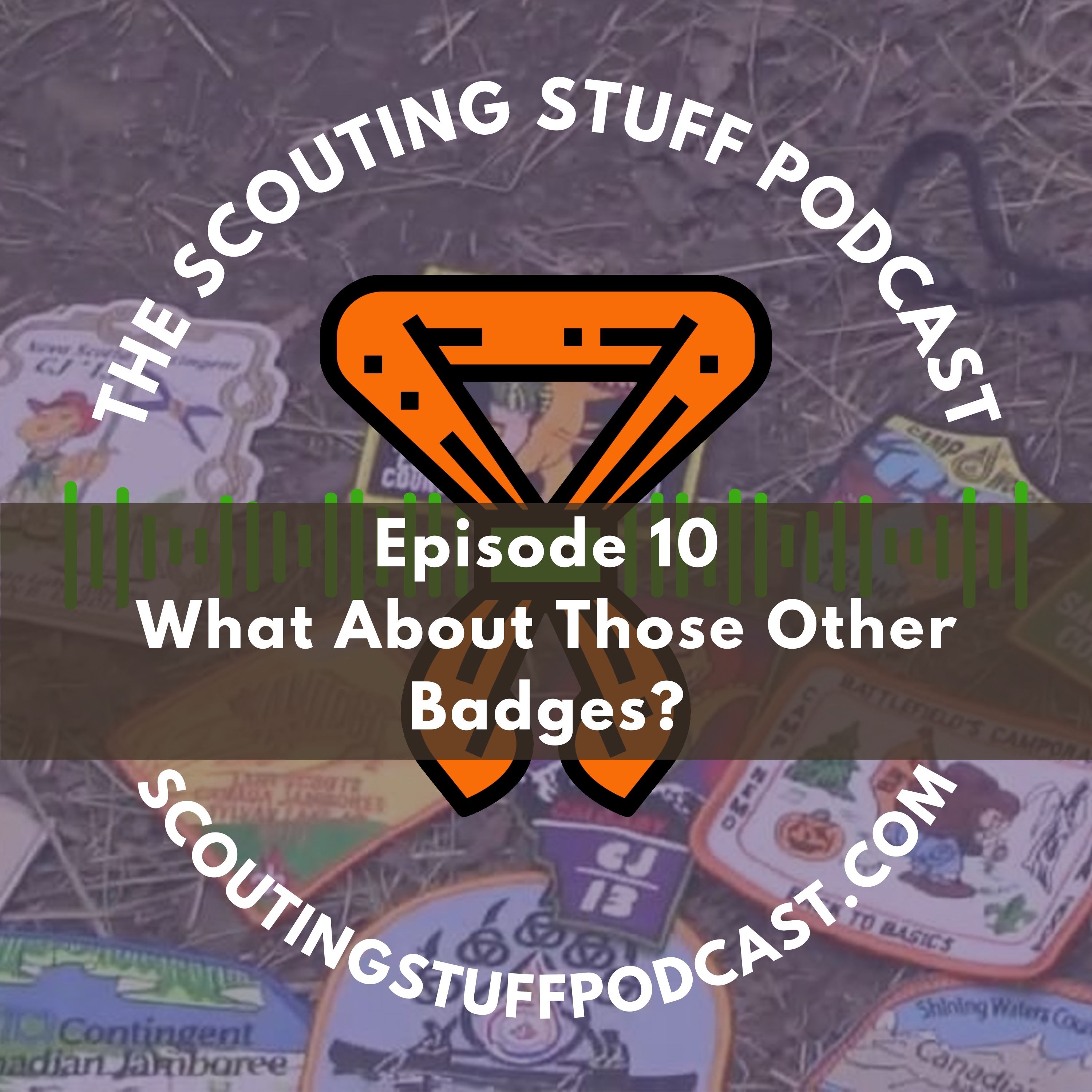 What About Those Other Badges?