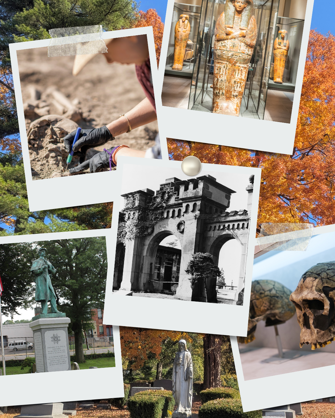 Episode 264 - Death and Dying 101 with Ryan Seidemann: Episode 7