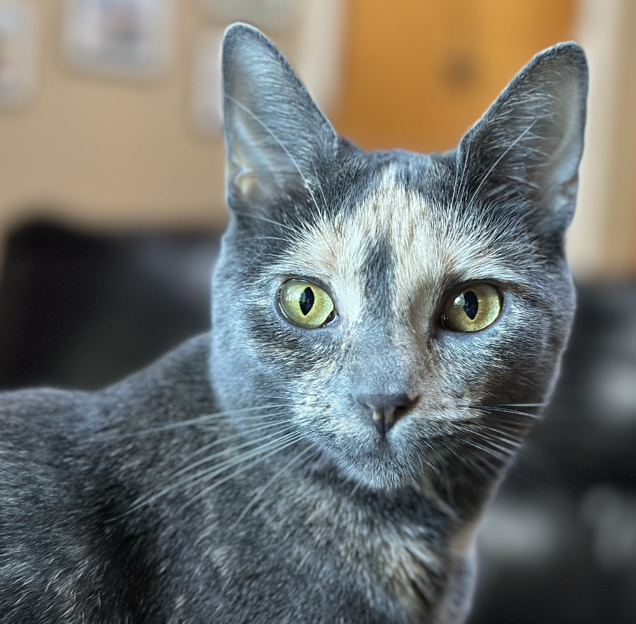 Behind the Mic: Episode 2 - When School Ends and Reality Begins