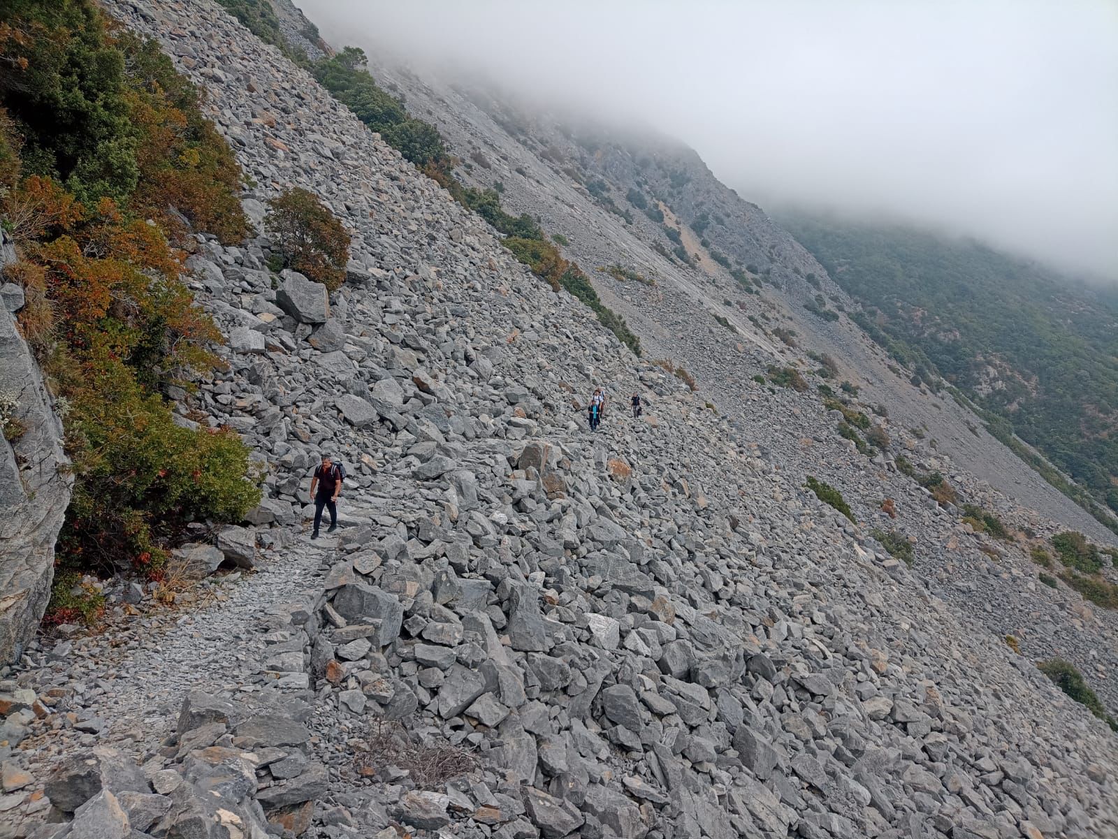 Predică la Duminica a 32-a dR - Întoarcerea minții spre viitor