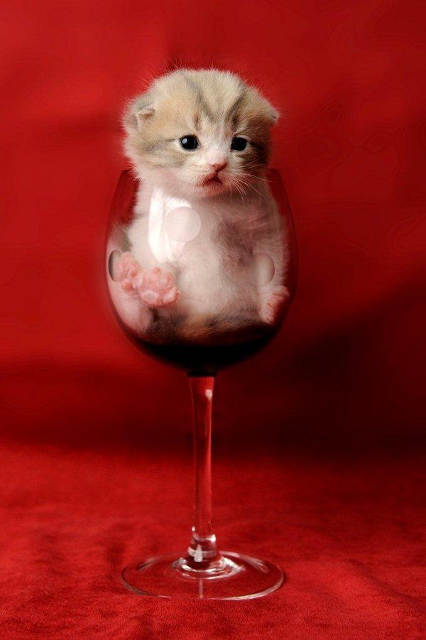 Liquor Industry News 07-10-25