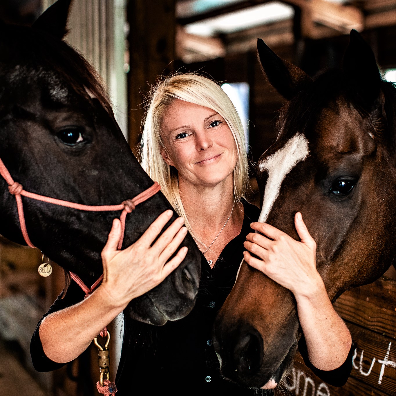 Jen Zoe Hall Horse Powered Healing