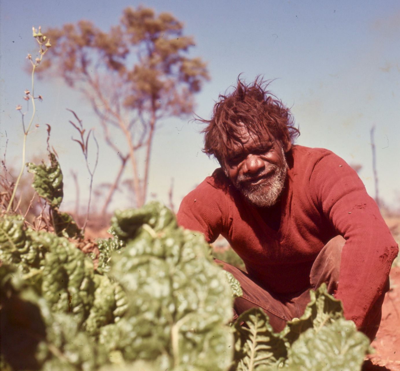 Maudie, Alice, and the Flower Well Mob: Brief Voices of First Australians, Deserts Apart