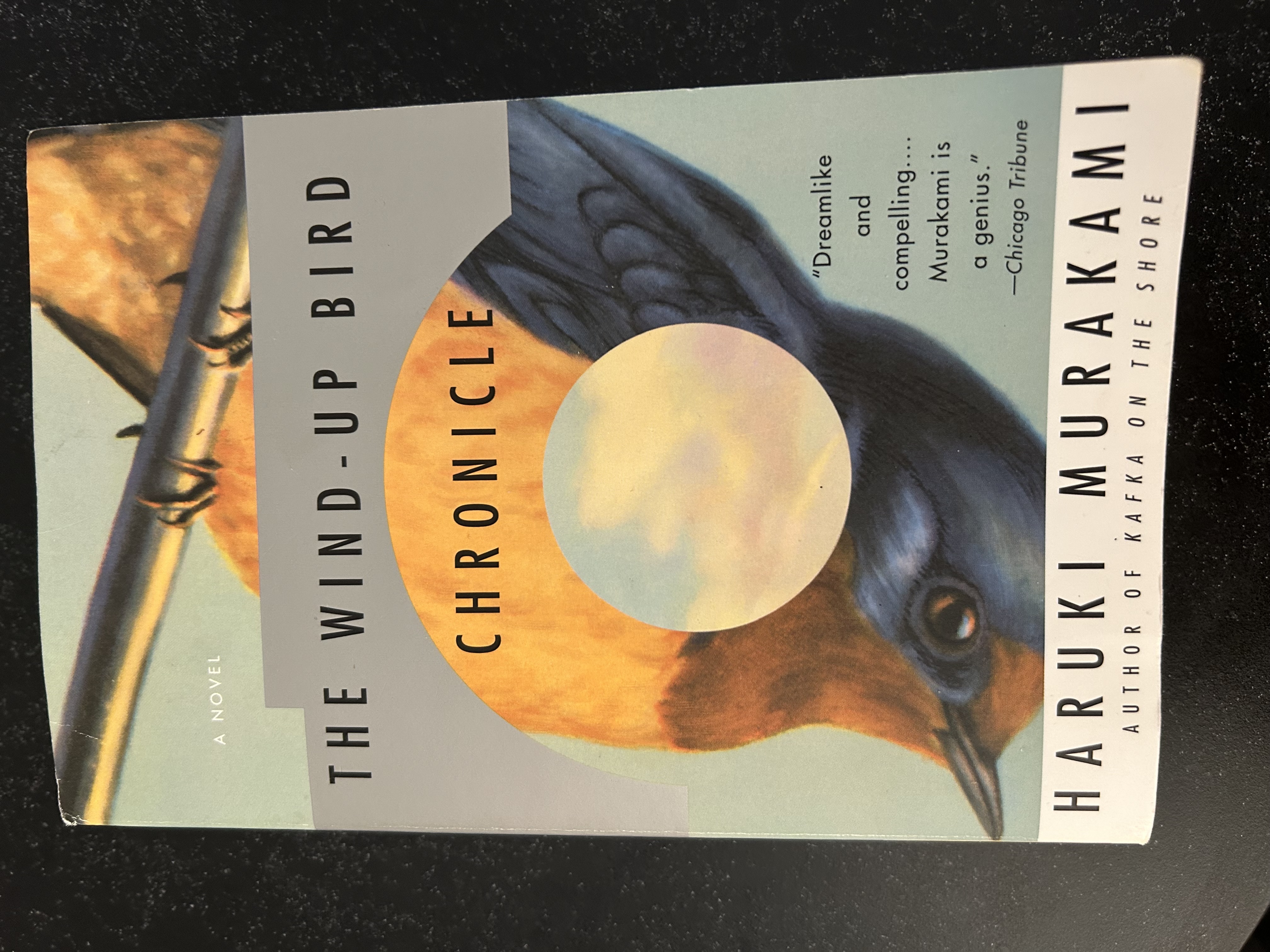 733 Haruki Murakami (with Mike Palindrome | To Kill a Mockingbird by Harper Lee (#17 GBOAT) | A Letter from Tehran