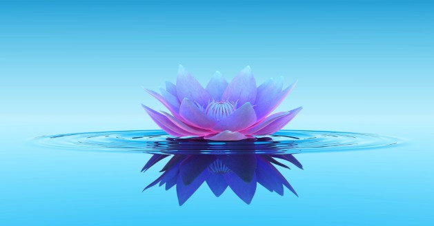 Functional Medicine Doctor Fawad Mian From Hopeless Pain to Radical Recovery Reveals Healing Blueprint Without Surgery Or Meds