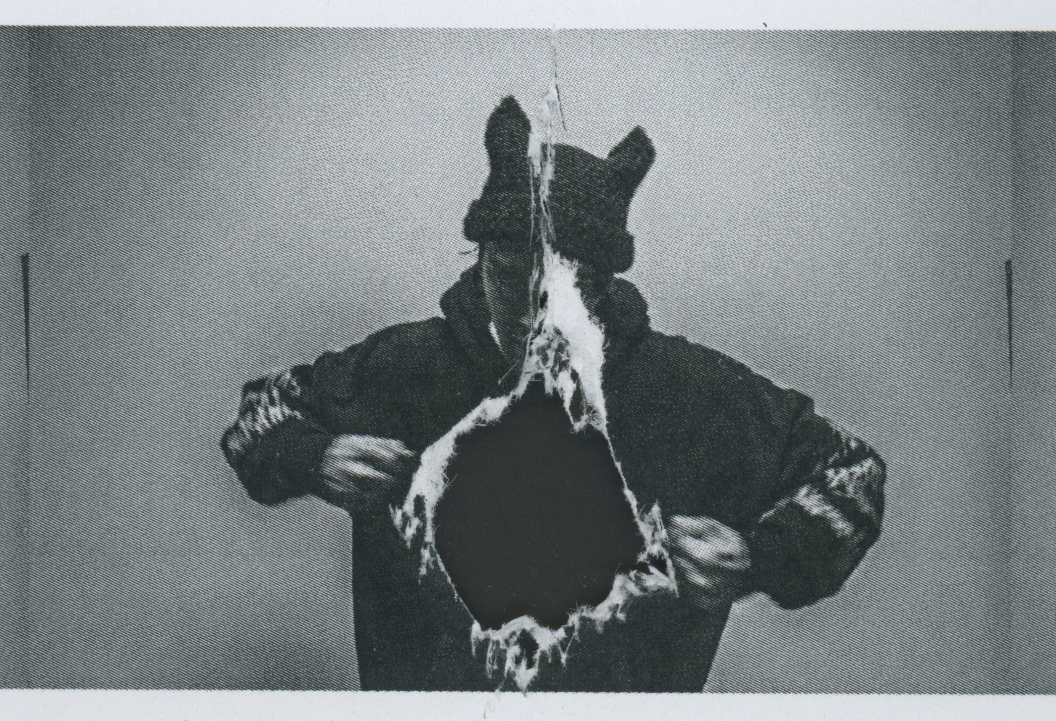 Mark Taylor Profile Photo