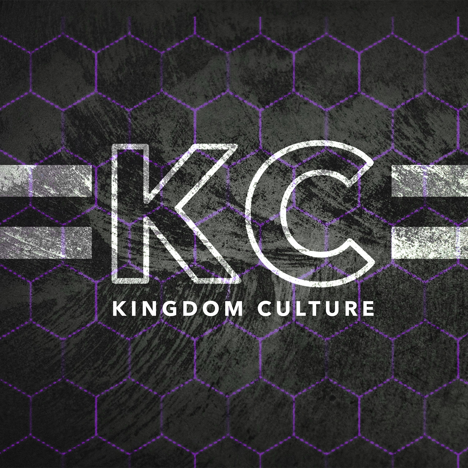 Episode 15 | Defining Biblical Masculinity in a Confused Culture
