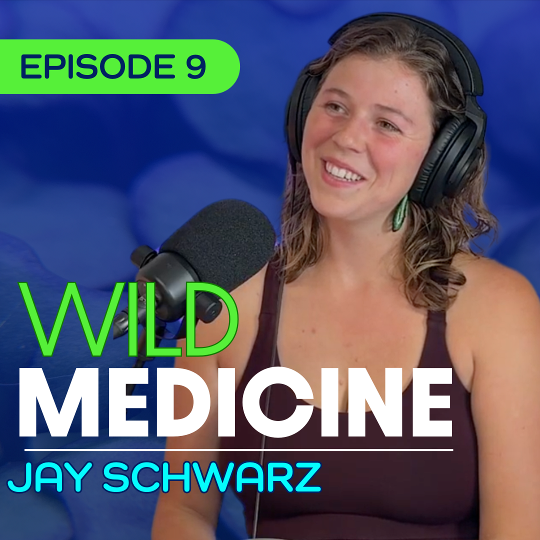 #9 - Why the Womb and the Wild are Connected - Jay Schwarz