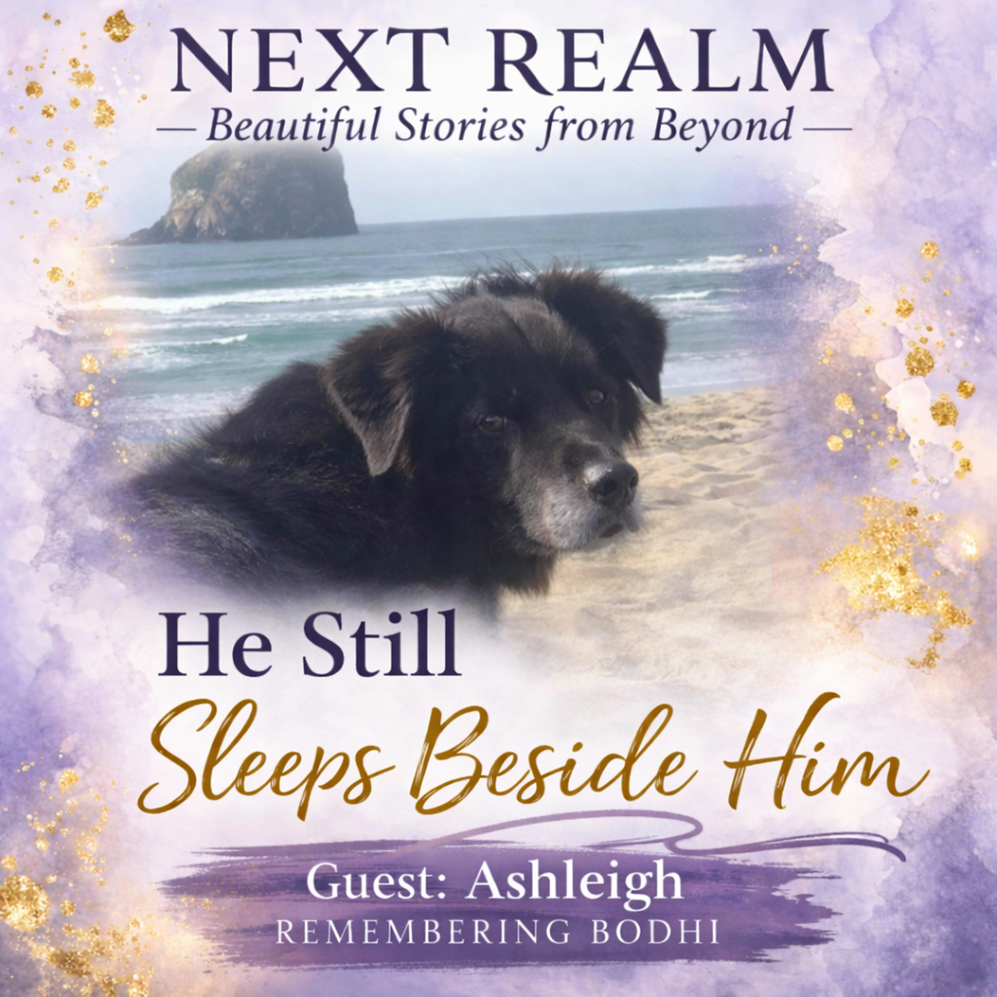 Over the Rainbow Bridge—Signs From Beyond After Pet Loss (Part 1) Over the Rainbow Bridge—Signs From Beyond After Pet Loss (Part 1)