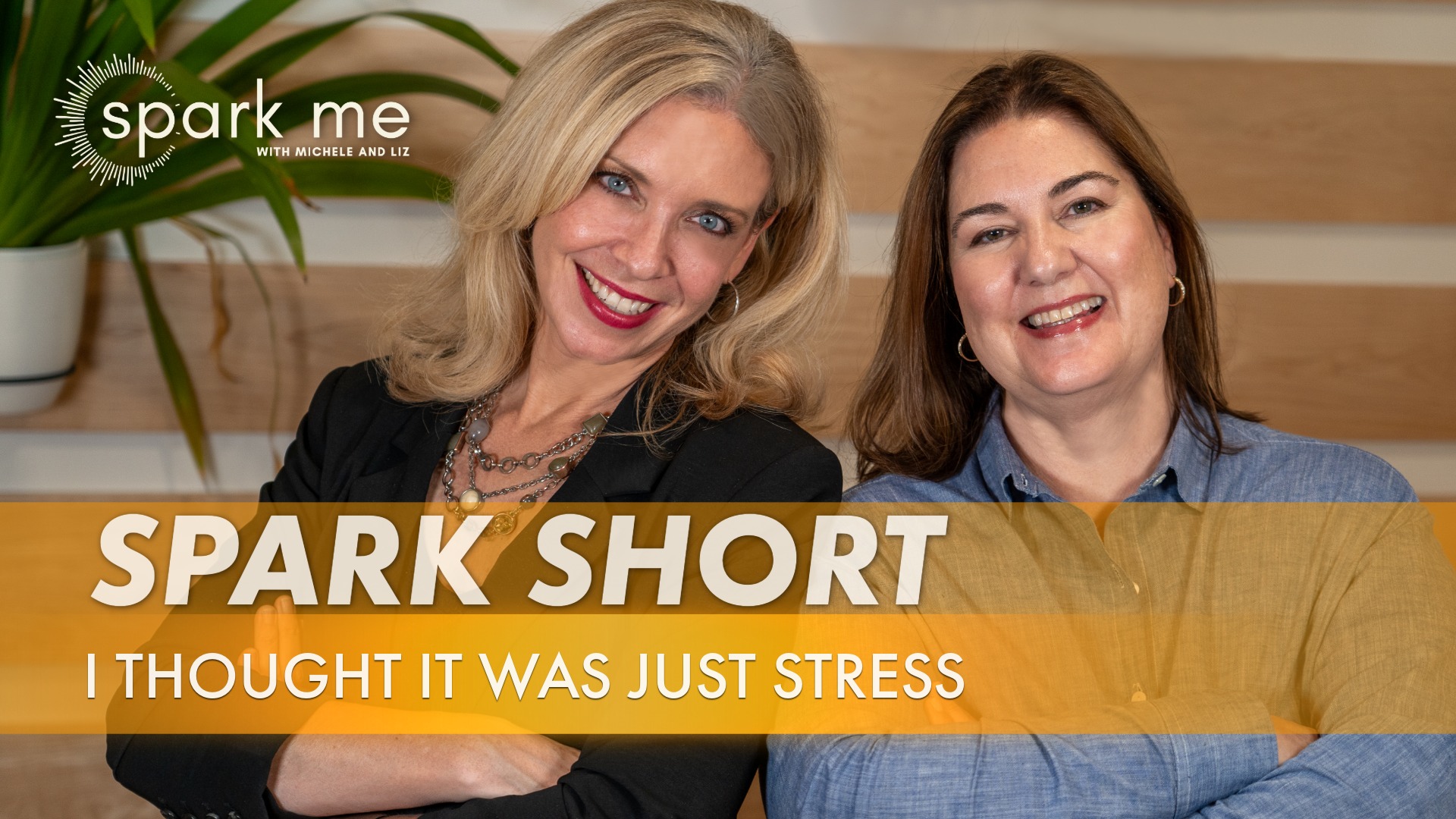 I Thought It Was Just Stress… I Thought It Was Just Stress…