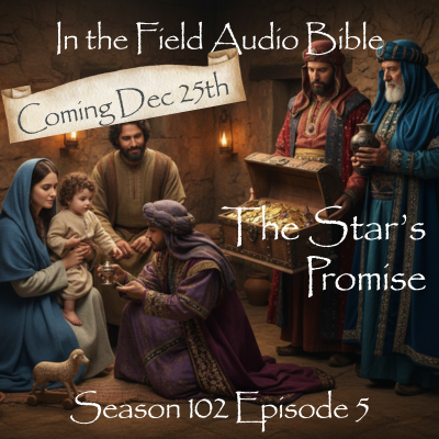 In the Field Audio Bible