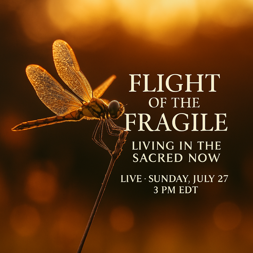 Flight of the Fragile: Living in the Sacred Now Flight of the Fragile: Living in the Sacred Now